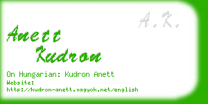 anett kudron business card